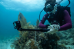 GoPro HERO13 Black