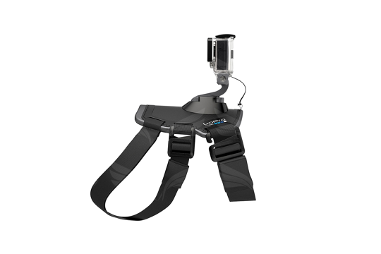 Szelki na psa GoPro / Fetch (Dog Harness)